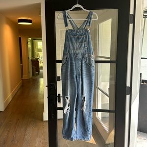 FREE PEOPLE / We the Free Denim Overalls